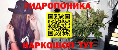первитин Можга