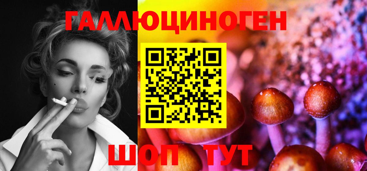 Галлюциногенные грибы Psilocybe  Вход с VPN  Галлюциногенные грибы мицелий  Серов 